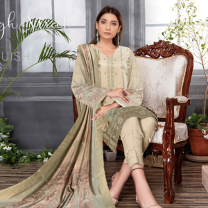 Dhanak women dresss