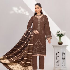 Dhanak Front Heavy embroidery With Saleeves Embroidered
